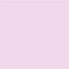 Periwinkle Lilac