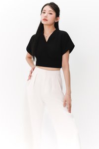 Sandy Sleeved Top in Black