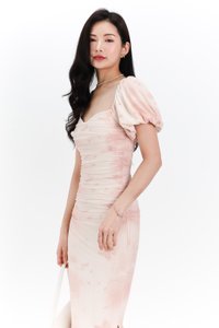 Brina Butterfly Printed Ruched Dress in Light Blush