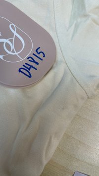 DEFECT | Leria Low Back Sleeve Top in Pale Yellow in S