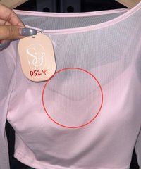 DEFECT | Mia Mesh Overlay Sleeved Top in Light Cool Pink in S