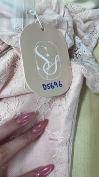 DEFECT | Lorelle Lace Sleeved Puffy Sleeve Top in Blush Pink in L