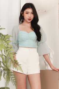 Prissy Puffy Sleeve Mesh Top in Blue